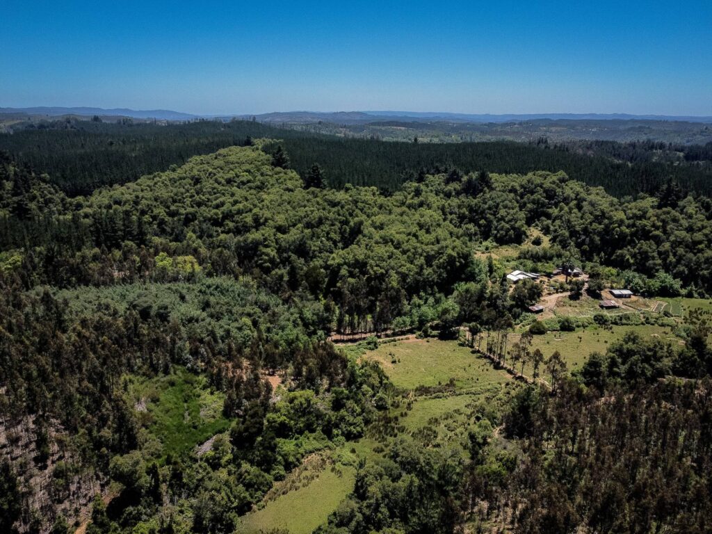 Home 28 comprar terreno en fundo el rosario