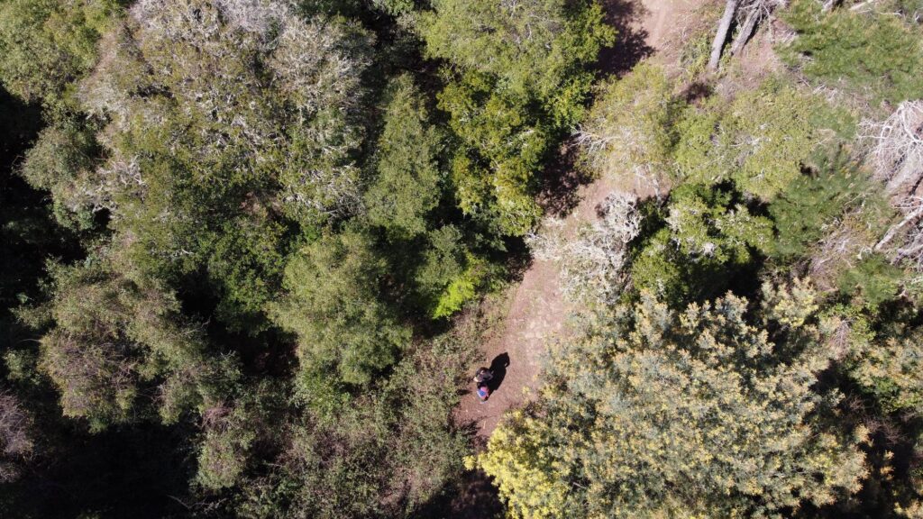 Home 29 comprar terreno en fundo el rosario