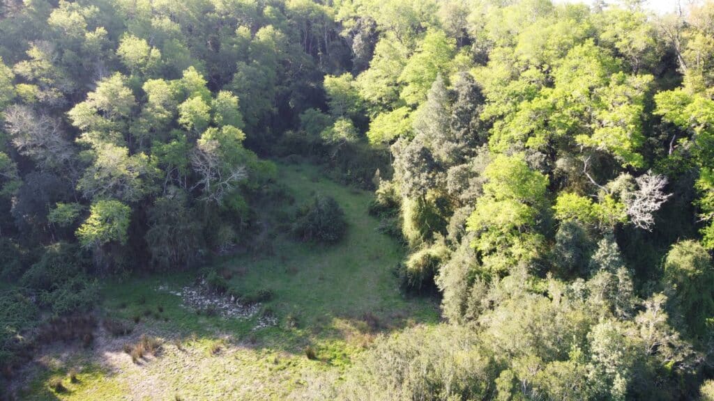 Home 18 comprar terreno en fundo el rosario