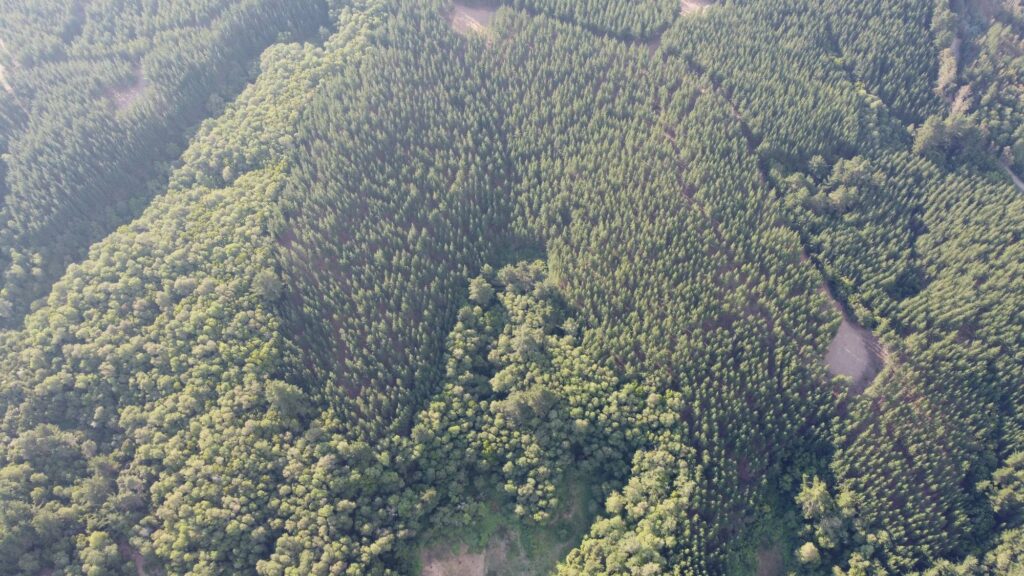 Home 22 comprar terreno en fundo el rosario