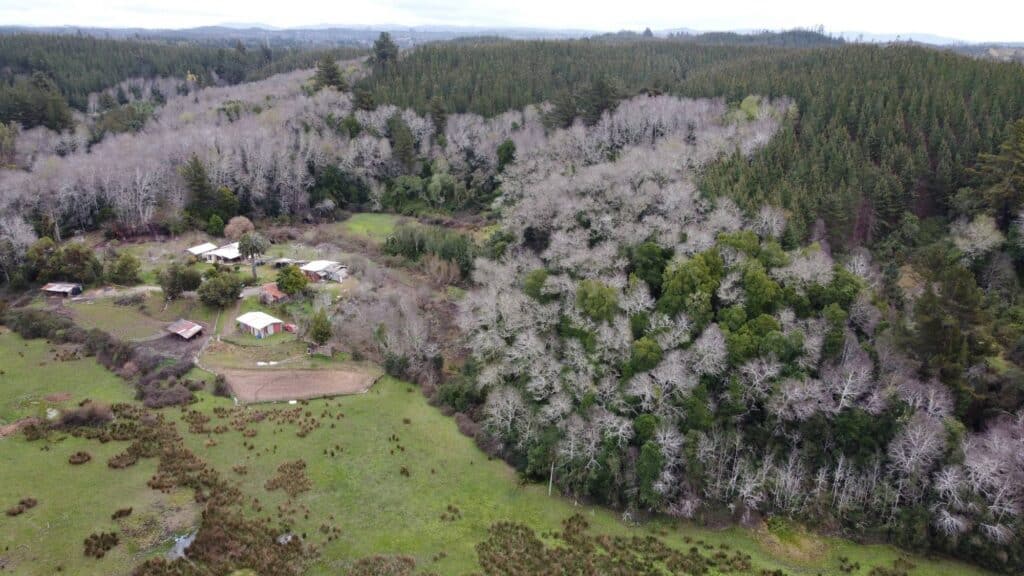 ¿Cómo saber si un terreno tiene rol propio y está listo para escriturar? 3 rol propio, terreno, escriturar