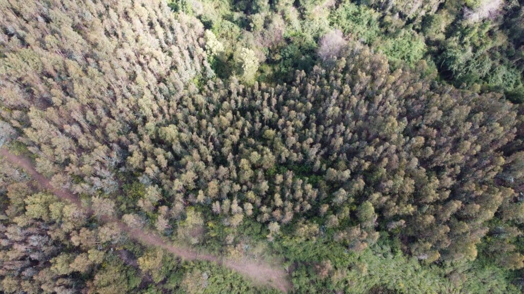 La clave para encontrar terrenos baratos sin perder calidad ni seguridad 1 terrenos baratos