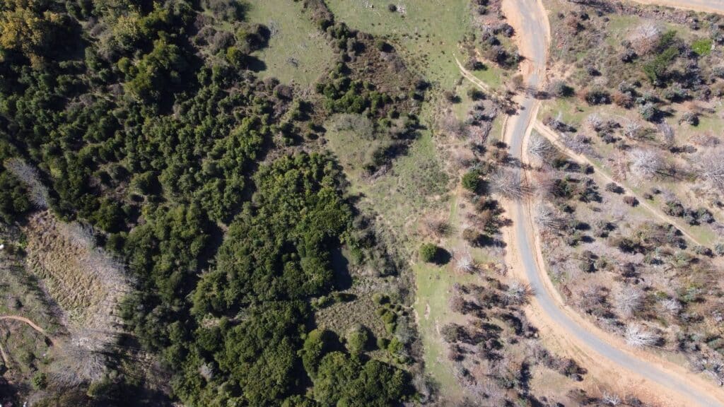 Venta de terrenos en Concepción: ¿Por qué Fundo El Rosario es la mejor opción? 4 venta de terrenos en Concepción