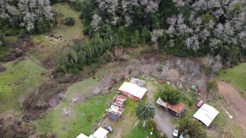 Parcelas en Concepción: lo que necesitas saber antes de comprar 3 parcelas en Concepción