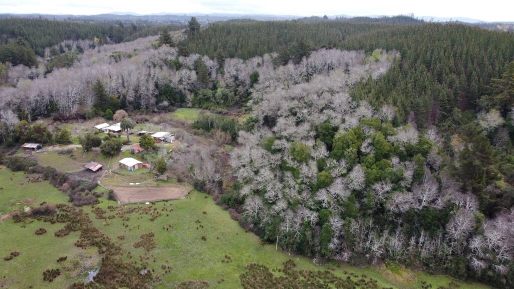 Parcelas en Concepción: guía completa para compradores 6 parcelas