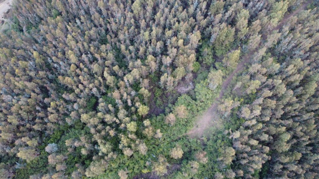 Parcela en venta en Concepción: guía completa para interesados 10 parcela en venta