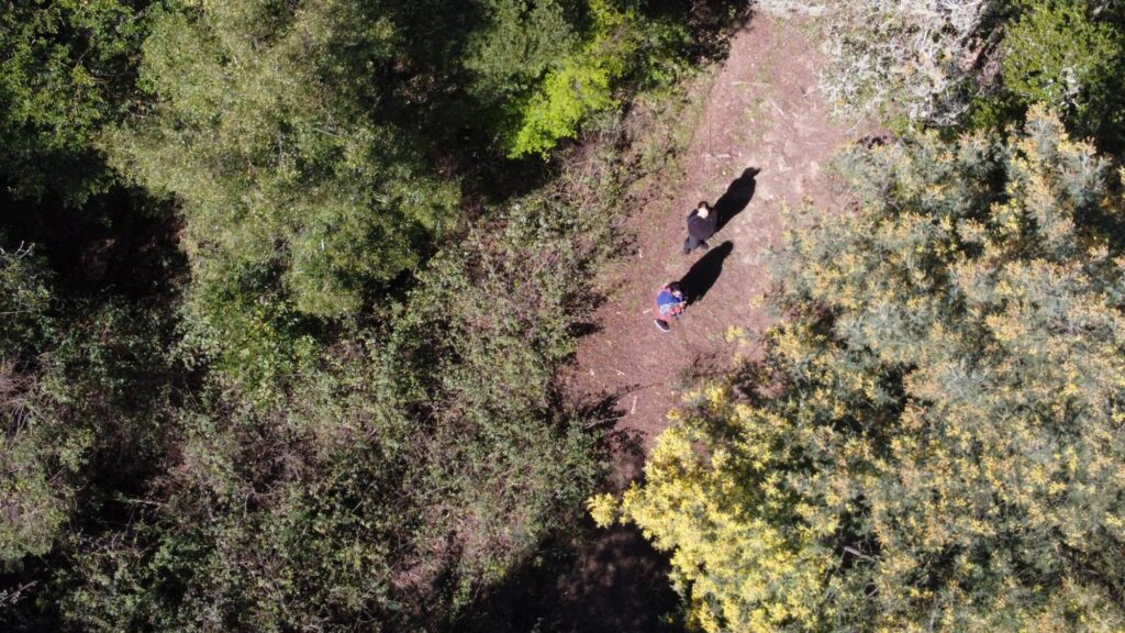 Comprar terreno en Concepción: paso a paso para adquirir con seguridad 9 comprar terreno