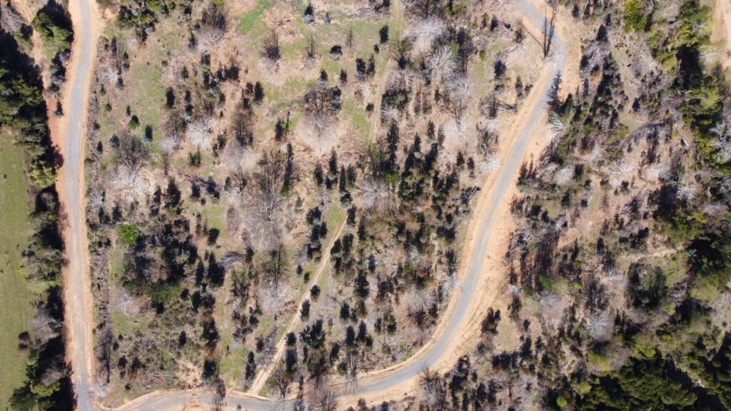 Parcelas con rol propio en Concepción: ¿vale la pena? 2 parcelas con rol propio
