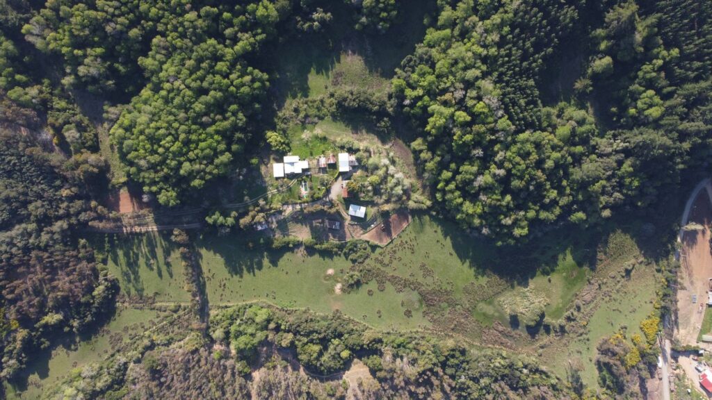 Compra de terrenos en Concepción: claves legales y consejos prácticos 8 compra de terrenos